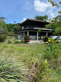 terrain à Kourou (973)