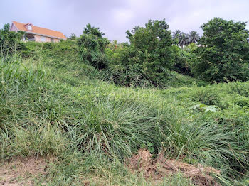 terrain à Le marigot (972)