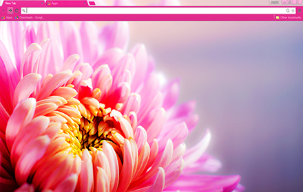 Floral Pink chrome extension