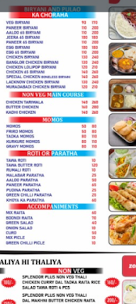 Malik Masala Delight menu 1