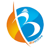 Bizective Online Services Llp