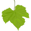 Vine Leaves Chrome extension download