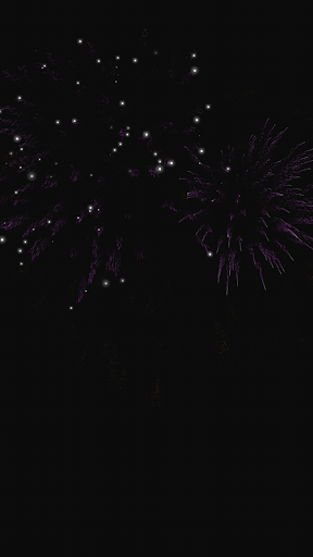 New Year Fireworks Live 3D