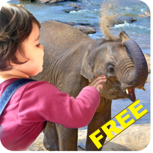 Kinder Wildtier Zoo Lern&Spiel 教育 App LOGO-APP開箱王