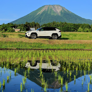RAV4 AXAP54