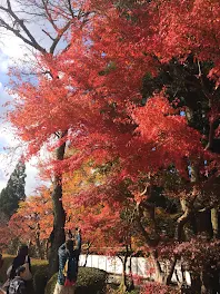 すとぷりが好きな人かもーん