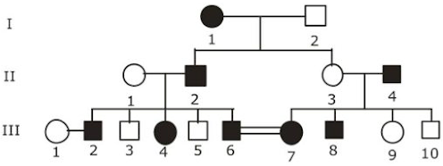 Pedigree Analysis