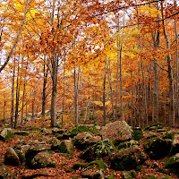 Favola autunnale di 