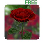 Cover Image of Baixar 3D Rose Live Wallpaper Lite 4.2 APK