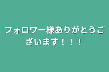 フォロワー様ありがとうございます！！！