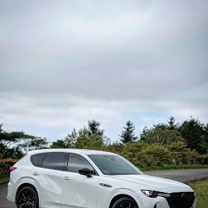 CX-60