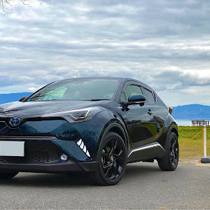 C-HR ZYX10