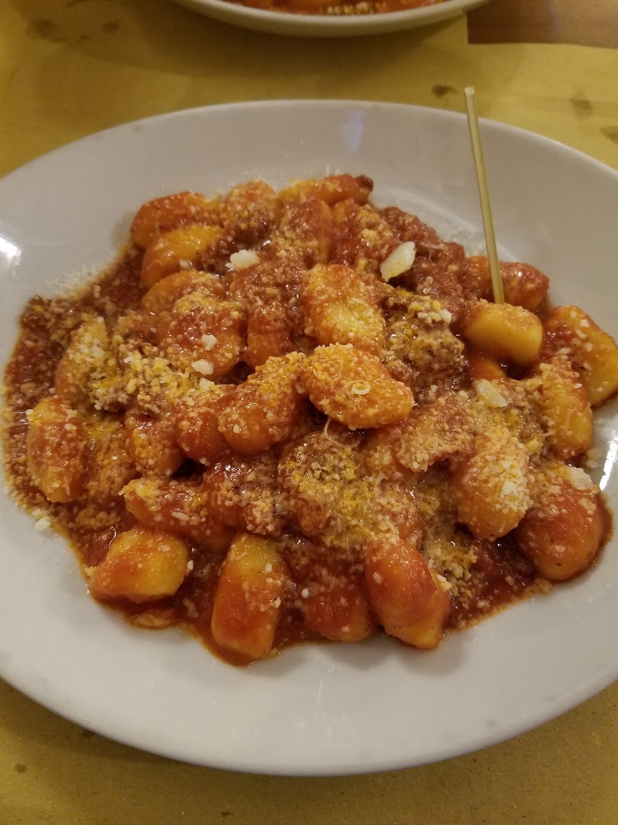 Gnocchi amatriciana