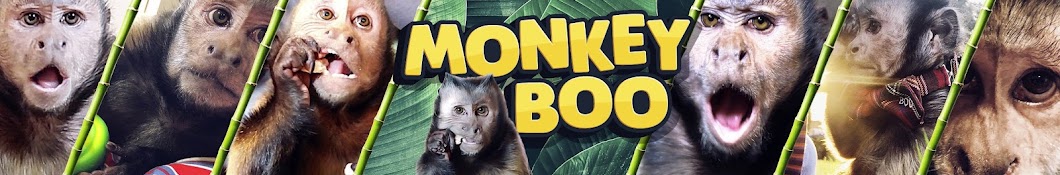 MonkeyBoo Banner