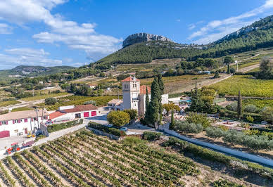 Vineyard with pool and outbuildings 4