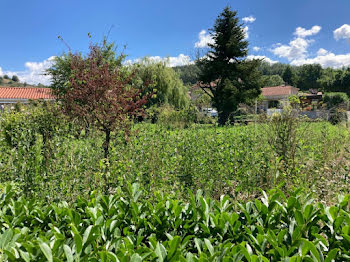 maison neuve à Bellegarde-en-Forez (42)