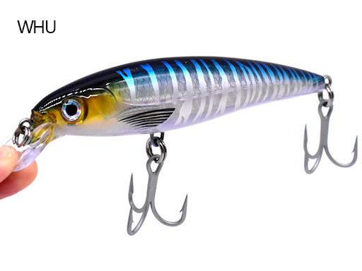 Title 6, Short Mouthed Drag Fishing Minorua Golden Spear...