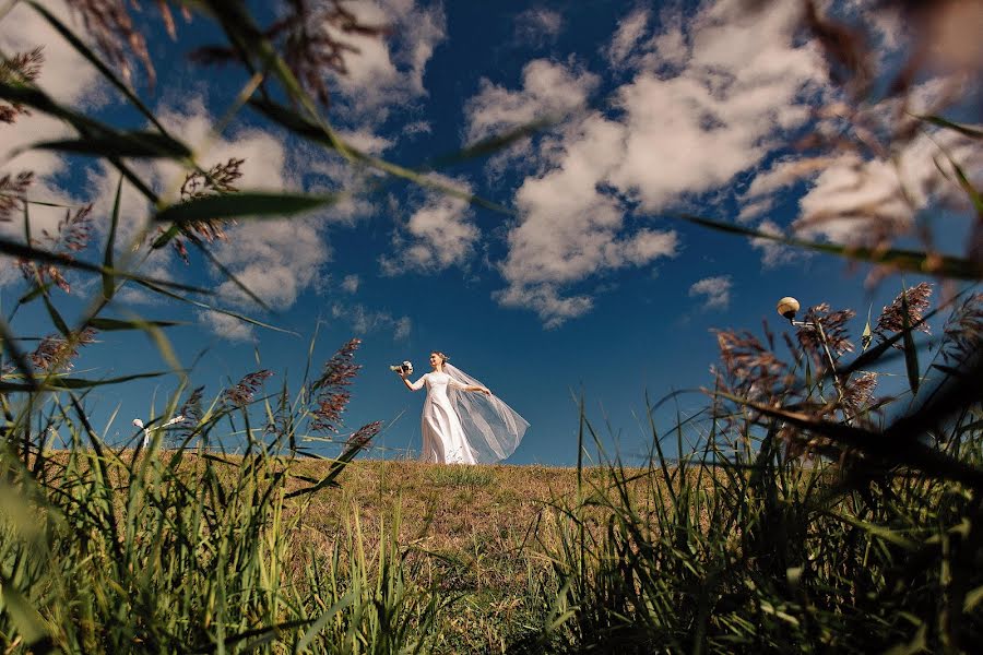 Wedding photographer Marina Kovsh (shvok). Photo of 9 November 2023