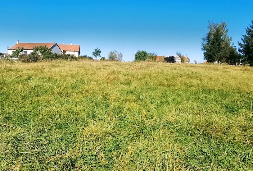  Vente Terrain à bâtir - 11 000m² à Anglus (52220) 