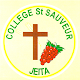 Download Collège Saint Sauveur Jeita For PC Windows and Mac 1.0