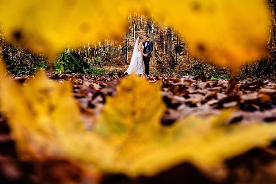 Hochzeitsfotograf Hermina Posta (inspirephotoro). Foto vom 25. Mai 2020