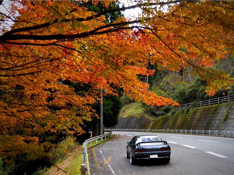 スカイライン GT-Rの紅葉と愛車に関するカスタム事例の投稿画像10枚目