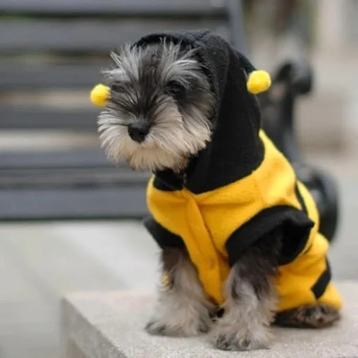 Pet Cute Bees Dog Clothes Cat Cosplay Sweater Clothes Soft Comfotable Puppy Hoodies Funny Costume for Teddy Poodle Warm 