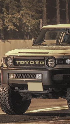 【気まぐれ値下げ】FJクルーザー トヨタ デカロゴ typeF デカール グリル