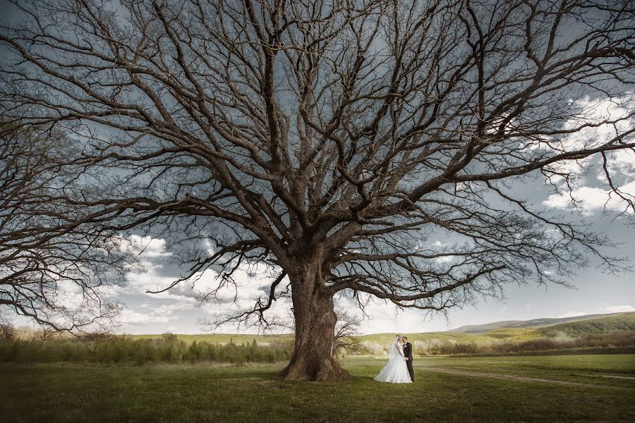 Fotografo di matrimoni Ekaterina Korzhenevskaya (kkfoto). Foto del 14 giugno 2016