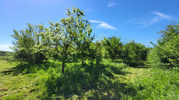 terrain à Uzès (30)