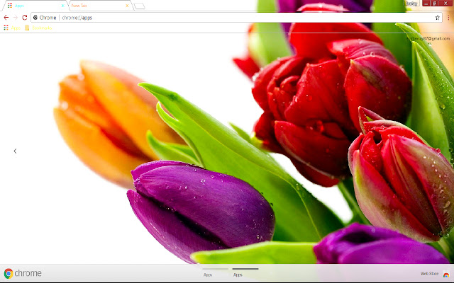 Colorful Flower Green Orange chrome extension