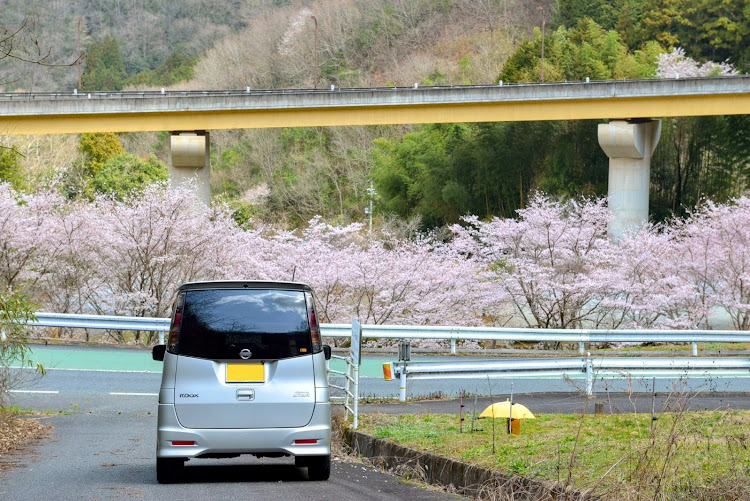 の投稿画像4枚目