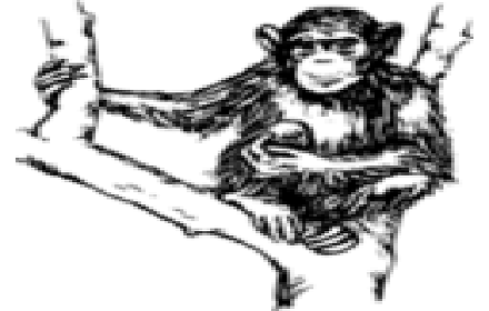 Chimp Test Bot Preview image 0