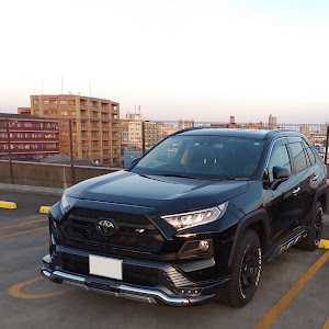 RAV4 MXAA54