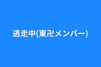 逃走中(東卍メンバー)