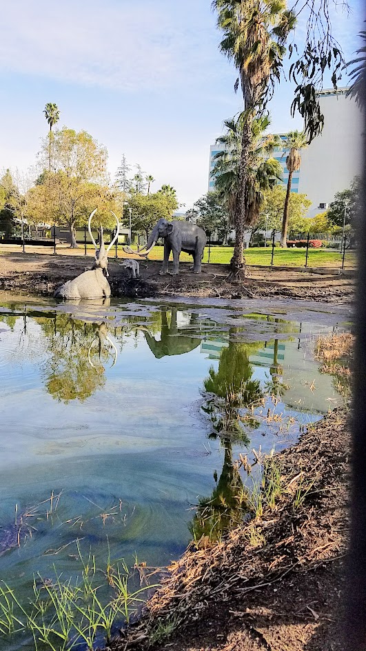 La Brea Tar Pits in Los Angeles- several pits are located outside the Museum and you can view them for free walking in the park. This is the largest, the Lake Pit, a still bubbling, asphalt seep with life-size fiberglass statues of mammoths and an American mastodon.