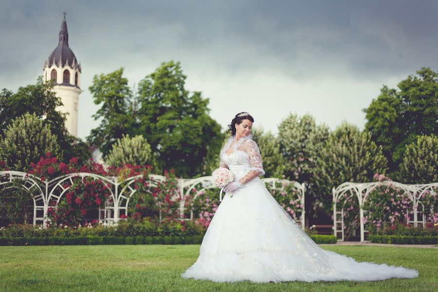 Wedding photographer Sándor Molnár (szemvideo). Photo of 26 July 2016