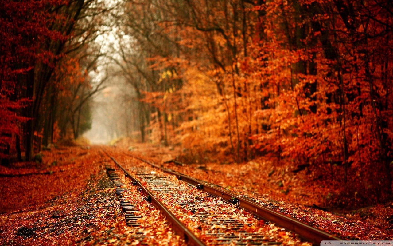 Autumn Wallpaper Preview image 5