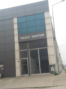 Yıldız Hortum