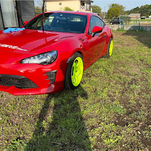86 ZN6