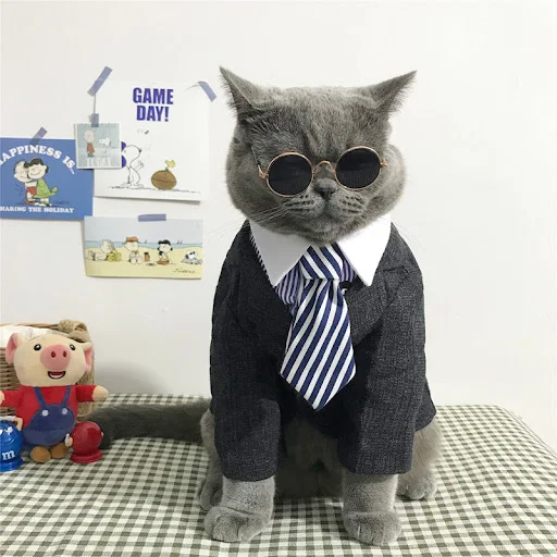 [MPK Store] Cat Toy Cat Costume Clip Tie for Cats and Dogs, Cat Collar