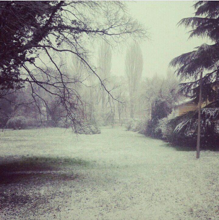 Neve malinconica di Vane_