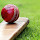 Cricket Wallpapers Theme New Tab