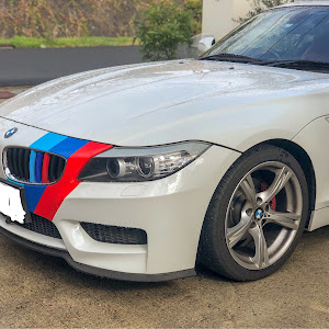 Z4 E89