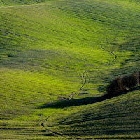 Il fuoripista di 