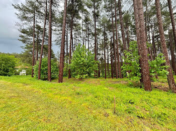 terrain à Hardelot plage (62)