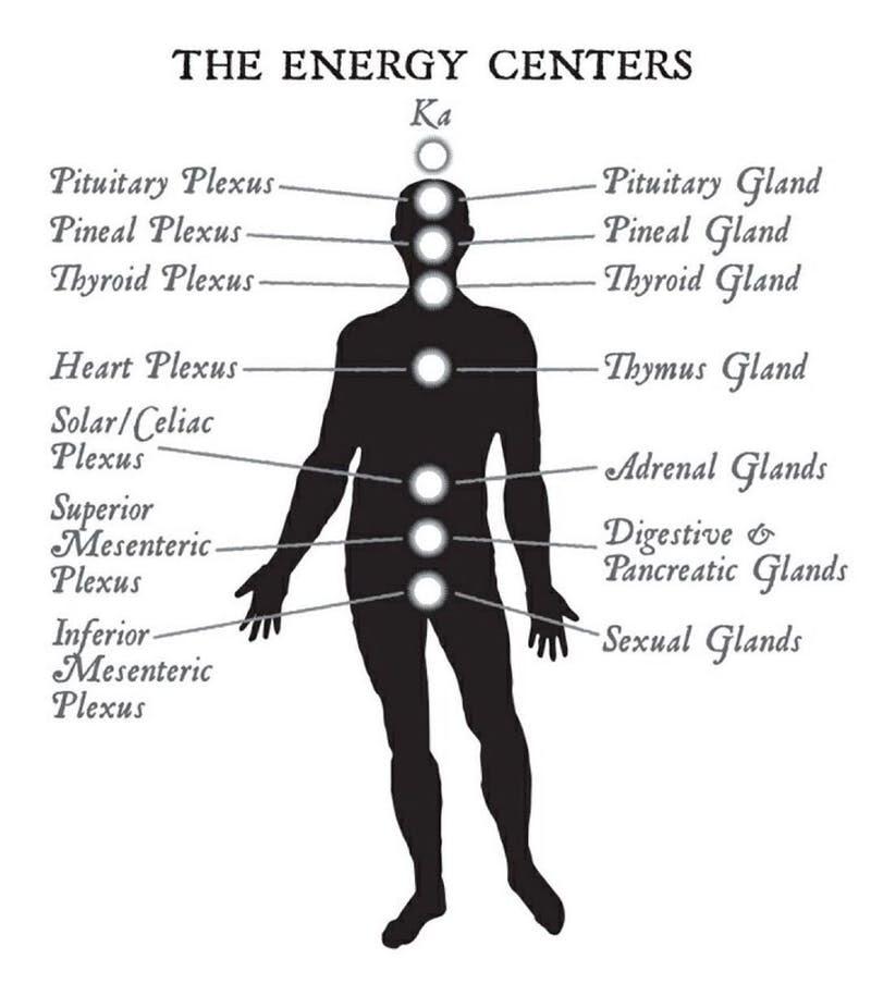 The 8 Chakras: A Meditation Unlike Any Other