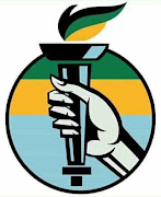  African Democratic Change a newly launched party of Makhosi Khoza with almost the same logo and colors as ANC.