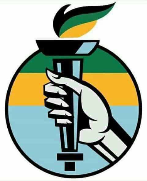 African Democratic Change a newly launched party of Makhosi Khoza with almost the same logo and colors as ANC.