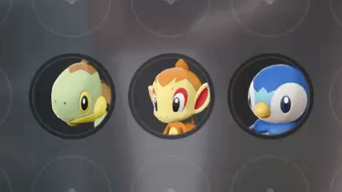アルセウス シンオウ御三家ポケモンの出現場所と入手方法 ポケモンアルセウス攻略wiki 神ゲー攻略